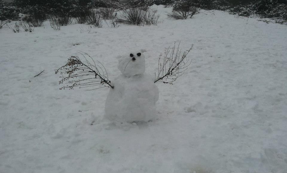 sneeuwpop in spanje